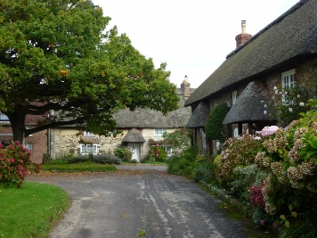Cottages in Coombe Keynes.