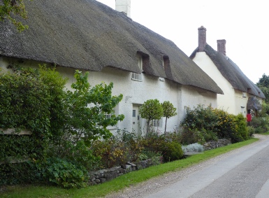 Thatched cottage in Throop