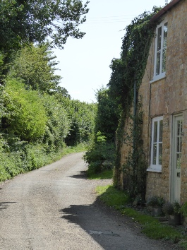 The road through Nettlecombe.
