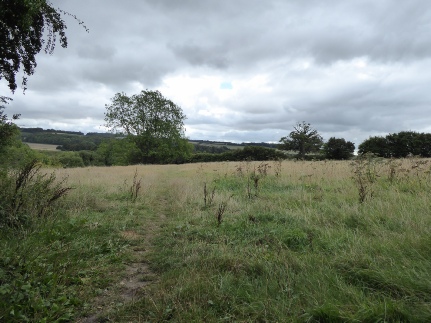 A view of the countryside next to Sutton Waldron Church.  