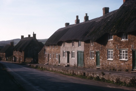 Thatched cottages in Abbotsbury.